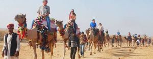 Camel Safari